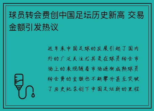 球员转会费创中国足坛历史新高 交易金额引发热议