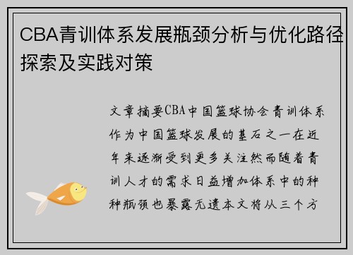 CBA青训体系发展瓶颈分析与优化路径探索及实践对策 CBA青训体系发展瓶颈分析与优化路径探索及实践对策