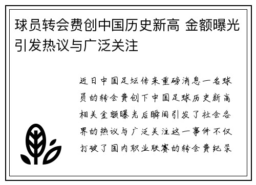 球员转会费创中国历史新高 金额曝光引发热议与广泛关注