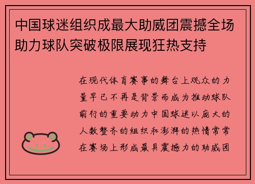 中国球迷组织成最大助威团震撼全场助力球队突破极限展现狂热支持 中国球迷组织成最大助威团震撼全场助力球队突破极限展现狂热支持